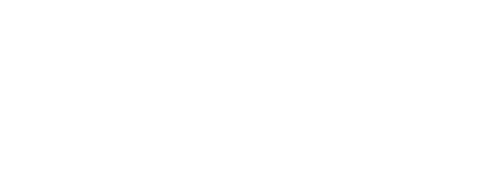 Formula 1