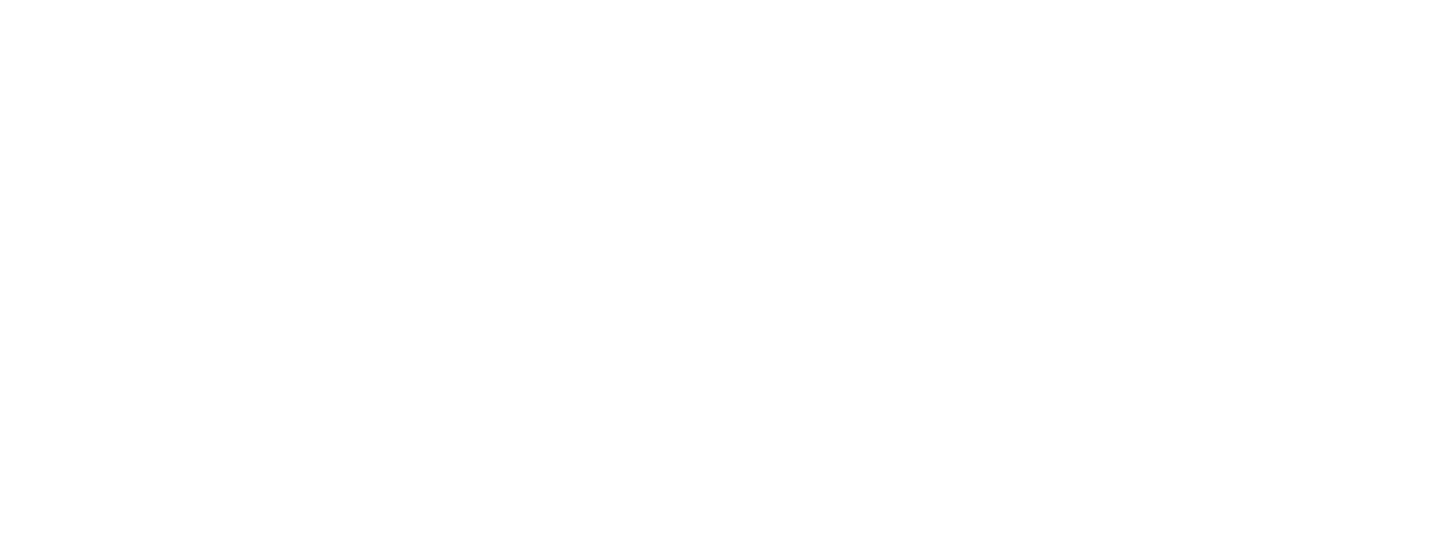 ACL Festival